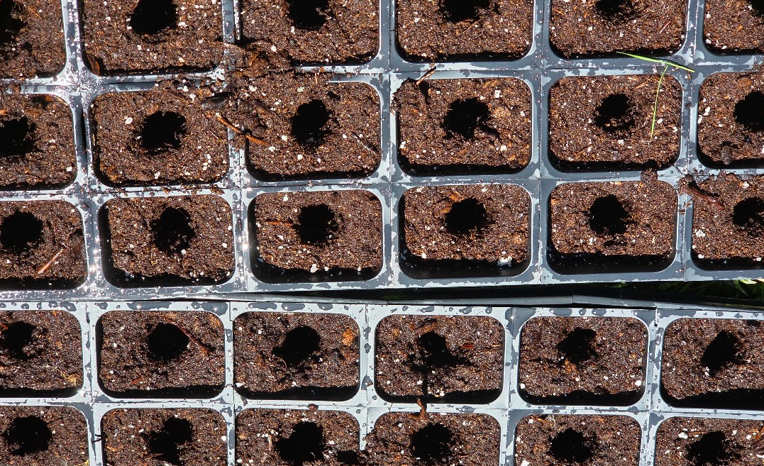 Does Your Favorite Nursery Hide its Plastic Waste